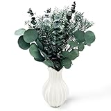 CAwished Trockenblumen Eukalyptus Getrocknet 3 Arten Gemischte für Die Perfekte...