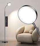 Ehaho 12W Tageslichtlampe Stehlampe Schwarz | Dimmbar Stehlampe Wohnzimmer |...
