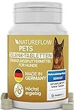 Gelenktabletten - TESTSIEGER Made in Germany für Hunde mit Grünlippmuschel,...