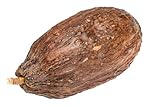 NaDeco Kakaoschote Natur-Braun, geöffnet ohne Bohnen, Größe ca. 10-15 cm |...