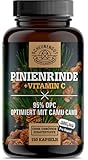 Pinienrindenextrakt -475mg OPC je Kapsel- WICHTIG: 25:1 Extrakt (=14500mg...