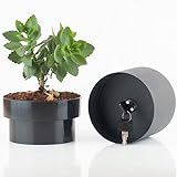 Castell Deco - Getarnter Tresor in Form eines Blumentopfes, kleiner Tresor mit...