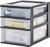 Iris Ohyama, Schreibtisch-Organizer mit 2 flache und 1 tiefe Schublade, Schwarz,...