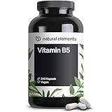 natural elements Vitamin B5 – 240 Kapseln - hochdosierte 500 mg...