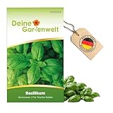 Basilikum Genoveser Samen - Ocimum basilicum - Basilikumsamen - Kräutersamen -...