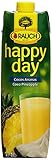 Rauch Happy Day Cocos Ananas Fruchtsaftgetränk, 1 l