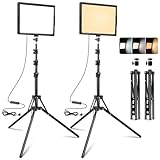 LED-Dauerlicht 2-Pack, Zweifarbig 2800-6500K Dimmbares USB Foto-Videoleuchte,...