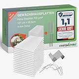 Exeta 14x Gewächshausplatten 4 mm I Polycarbonat Hohlkammerplatten für...