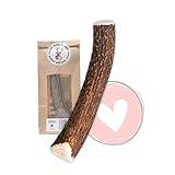 FOURLEGS® natürlicher Kausnack für Hunde aus 100% Hirschgeweih -...