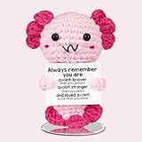 IrisCargo Pocket Hug Glücksbringer Geschenke, Emotional Support Gift Axolotl...
