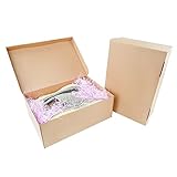 STRBOXONG Schuhkarton mit Deckel, 32x22x12 cm, Mehrzweck-Aufbewahrungsbox für...