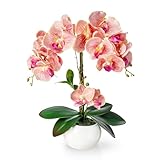 PASCH® Orchideen künstlich in Hochglanz-Keramiktopf (40cm) | Kunstblumen im...