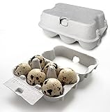 Eivolution 6er Wachteleierschachteln aus Pappe - 30 Stück - Eierkartons für...