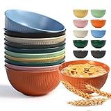 Valyrane 10er Set Müslischalen & Salatschalen, 650ml Plastikschüssel aus...