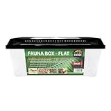 Terra Exotica Fauna Box Flat Transportbox für Reptilien, Amphibien, Insekten,...