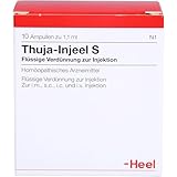 Thuja Injeel S Ampullen