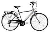 Discovery Denver Herren Trekkingrad Manhattan Herrenfahrrad (28 Zoll), Shimano 6...