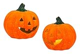 BigDean 2er Set Halloween-Kürbis Windlicht groß - HxD: ca. 13x14 cm -...