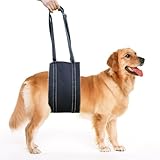 Verstellbarer Hunde Tragehilfe für Mittelgroße/Große Hunde,...