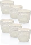 idea-station RIBA Blumentopf Set 6 x 11 cm - Creme-weiß - bruchsichere...
