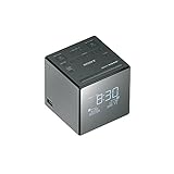 Sony XDR-C1DBP-CEK Wiederaufladbare Tragbare Batteriebetriebene Taschen DAB/DAB...