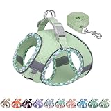 AIITLE Hundegeschirr und Leine Set, No Pull Schritt in Welpengeschirr mit Super...