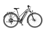 Fischer E-ATB Terra 2.2 Active, Elektrofahrrad für Damen und Herren, RH 45,...