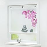 Joyswahl Raffrollo Voile Raffgardinen mit Haken Zoe Ösenraffrollo BxH 60x140cm...