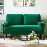 Vesgantti Couch 2 Sitzer, Samt Kleines Sofa mit 2 Wurfkissen, Modern Mini Sofa,...