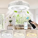 OZMI 50CM LED Deckenventilator mit Beleuchtung, 48W Moderner deckenventilator...