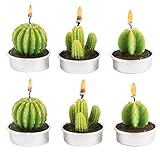 CHSG 6 PCS Decorative Kaktus Kerzen Teelicht Rauchfrei, Sukkulente Cactus Candle...