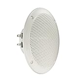 Visaton 2113 Lautsprecher FR 13 WP 4 Ohm weiß