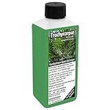 GREEN24 Trachycarpus Dünger für Hanfpalmen Tessinerpalmen Trachycarpus...