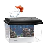 GarPet Mini Aquarium Terrarium Faunarium Zucht Becken klein Fisch Triops...