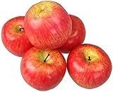 GMMH Künstlicher Deko Apfel, 5 Stück (Rot, 20-40 g/St) Lebensechtes...