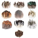 MWOOT 300 Stück Federn zum Basteln, 10 Stile Natürliche Gemischte Deko...