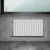 WITEN&NOCK Design Heizkörper Flach Paneelheizkörper Weiß 1000 x 600 mm...