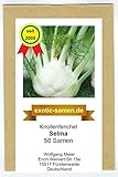 Knollenfenchel, Gemüsefenchel - Selma - 50 Samen