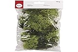 Rayher 8503211 Islandmoos, hellgrün, Btl. 100 g, echtes Natur-Moos (Island),...