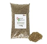 Rasen Schattenrasen Grassamen Rasensamen Rasensaat Gras 1kg - Qualität zum...