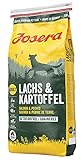 JOSERA Lachs & Kartoffel (1 x 15 kg) | getreidefreies Hundefutter | Lachsprotein...
