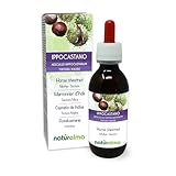 Rosskastanie (Aesculus hippocastanum) Rinde und Samen Alkoholfreier Urtinktur...