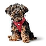 HUNTER Hundegeschirr Love, Farbe: rot, weiches Rindsleder, atmungsaktive...