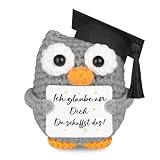 WenmthG Gestrickte Eule Positive Geschenke, Pocket Hug Eule Positive Kartoffel...
