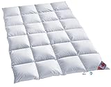 Canada Daunendecke warme Winterdecke Kassettenstegbett Daunenbett 100% Daune...