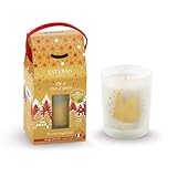 Esteban - Nachfüllbare Duftkerze 180 g - Duft Tee und Lebkuchen - Hochwertiges...