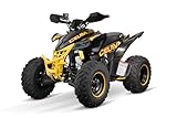 NITRO MOTORS 250cc Maxi Quad Celavi RS10 4-Gang Manuell Platin, Farbe:Gelb