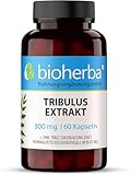 Tribulus Terrestris Extrakt 300 mg mit Zink – 60 Kapseln mit 90 % Saponinen...