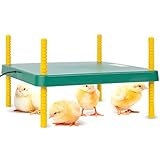 VOSS.farming Küken Wärmeplatte VD35 35x35cm 30W Kükenaufzucht Heizplatte...