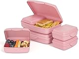 Hausfelder Brotdosen Set flach – Brotdose Schule und Büro mit Fächern...